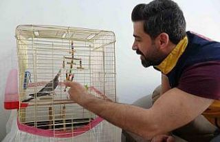 Depremin 10’uncu gününde enkazdan canlı çıkan...