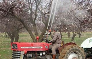 Depremin vurduğu Malatya’da kayısı üreticileri...
