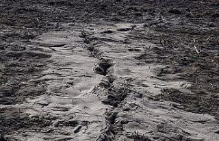 Depremle yarılan tarlalardan yüzeye su çıktı