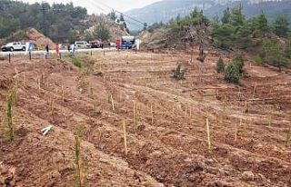 Depremlerde hayatını kaybedenler anısına bin 100...