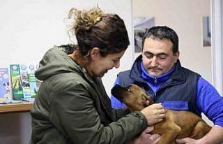 Depremzede aile ile depremzede köpeğin buluşma...