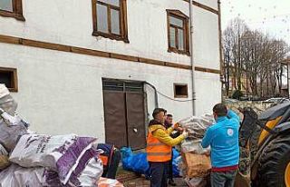 Depremzedeler için odun yardımı