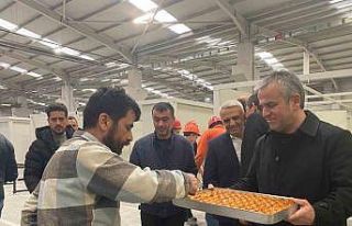 Depremzedelere yuva yapıyorlar