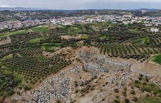 Dev fay yarığının oluştuğu mahalle, yakın bir...