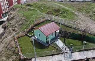 Dışarıdan bakan ev sanıyor, içerisinde ise bir...