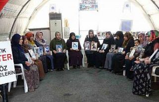 Diyarbakır annelerinden Tokay: “Aileler, evlatlarının...