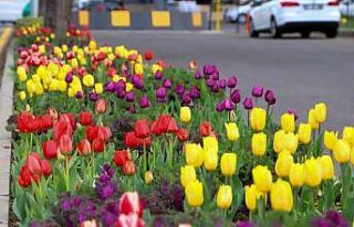 Diyarbakır’da kent merkezi mevsimlik çiçeklerle...