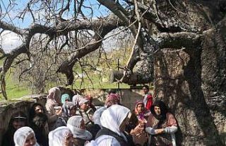 Diyarbakır’da ‘Murat Şenlikleri’ yapıldı