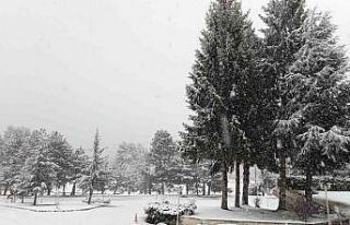 Doğaseverlerin gözdesi Abant’ta mart ayında kar...