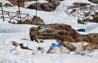 Doğuda kış çilesi devam ediyor