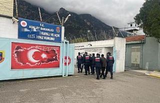 Dolandırıcılık, kasten adam öldürme ve yağma...