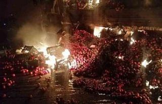 Domates yüklü kamyon yandı