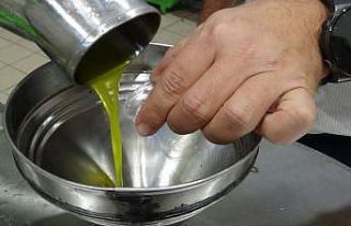 Edremit Zeytinyağı’nın Avrupa Birliği tarafından...