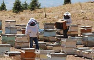 Elazığ Arı Yetiştiricileri Birliği Başkanı...