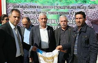 Elazığ’da çiftçilere yüzde 75 hibeli nohut...