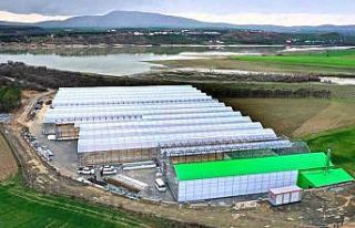 Elazığ’da jeotermal sera sahasının ilk etap...