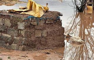 Elazığ’da sağanak yağışın vurduğu beldede...