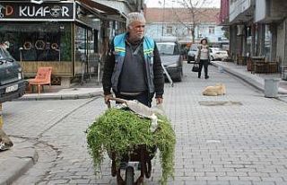 Emekli işçi gönüllü olarak her gün ilçeyi temizliyor
