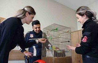 Enkazdan çıkarılan muhabbet kuşları Van polisine...