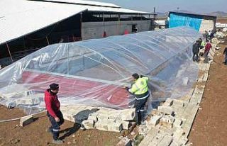 Erdemli Belediyesi ağıl yaptı, hayvanlar soğuktan...