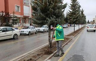 Ereğli’de bahar hazırlıkları devam ediyor