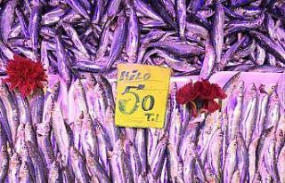 Eskişehir’de balık fiyatları