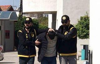 Evin tapusunu isteyen ağabeyini öldürdü