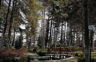 Fakülteler bahar yarıyılını sessiz geçiriyor