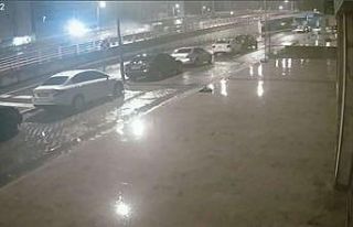 Feci kazadan sağ kurtuldular