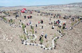 Fidanlar depremde hayatını kaybedenler anısına...