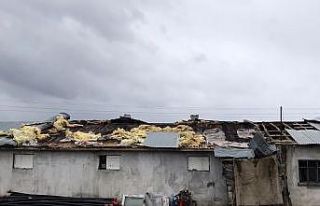 Fırtınanın çatısını uçurduğu ahırda 15 kuzu...