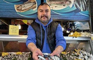 Fosforuyla ünlü Zargana balığı tezgahlarda yerini...