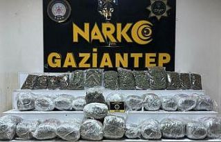 Gaziantep’te 28 kilo 400 gram skunk ele geçirildi