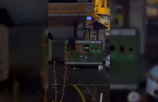 Geri dönüşüm kutusuna girerek atıkları böyle...