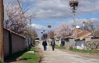Göçmen köy, göçmen kuşları 60 yıldır misafir...
