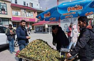Gülbahar bitkisi tezgâhlarda yerini aldı