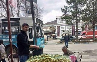 Gulik tezgahlarda yerini aldı