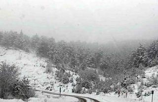 Gümüşhane’nin yükseklerinde kar yağışı etkili...