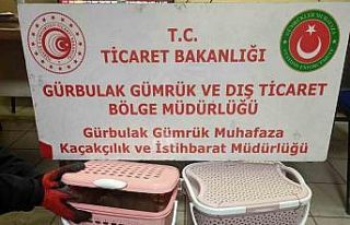 Gürbulak Gümrük Kapısı’nda 11 adet yavru maymun...