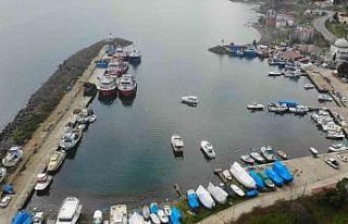 Hamsi ve istavrit olmayınca balıkçılar sezonu...