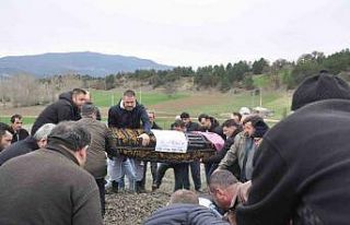 Hastaneye gitmek için bindikleri araba mezar oldu