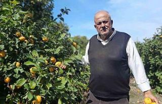 Hatay’da depolar yıkılıp dağıtım zinciri bozulunca,...