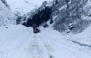 Havalar ısınıyor, kar erimesi ve çığ riskine...