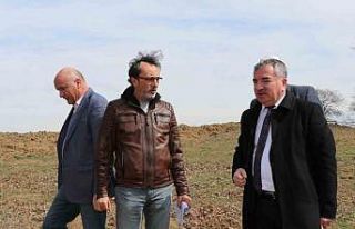 Havza’daki Kılavuz Orman’ı mesire alanı ve...