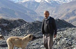 Hayırsever vatandaş sokak köpekleri için 30 kilometre...
