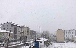 Hizan’da kar yağışı