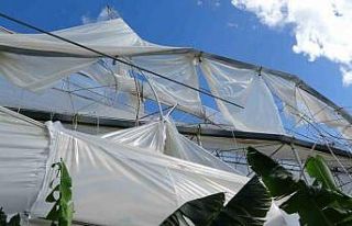 Hortum muz serasını vurdu, 5 dönümlük alan savaş...