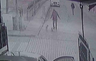 İki minik köpeğin kovaladığı adam böyle kaçtı