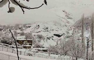 İlkbahar beklenirken kış geldi