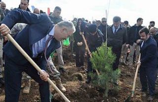 İnönü’de 2 bin fidan dikilerek 6 Şubat Deprem...